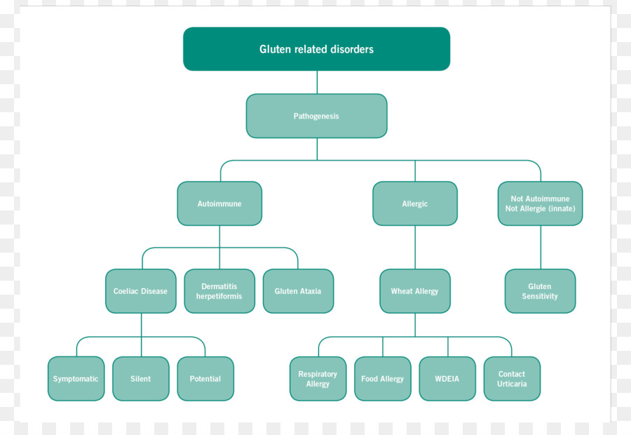 اضطرابات الغلوتين，مرض الاضطرابات الهضمية PNG