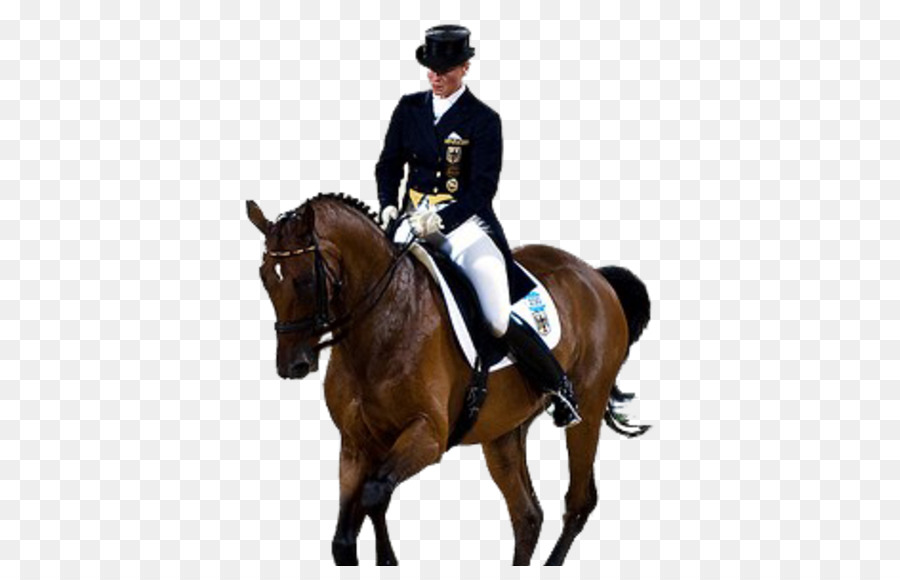 الحصان，الألعاب الأولمبية PNG
