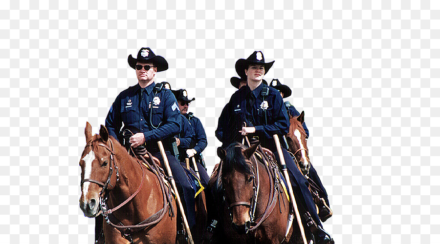 الحصان，دنفر الشرطة واقية جمعية PNG