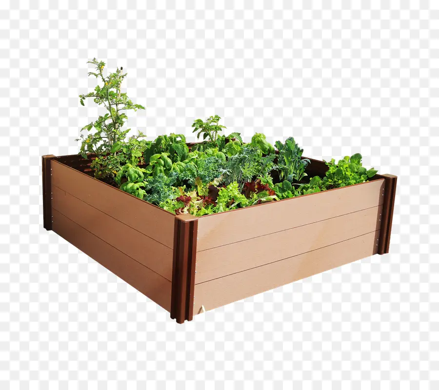 Raisedbed البستنة，حديقة PNG