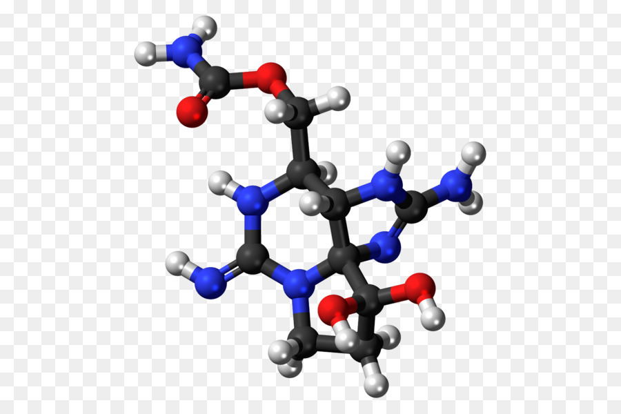 Saxitoxin，السم PNG