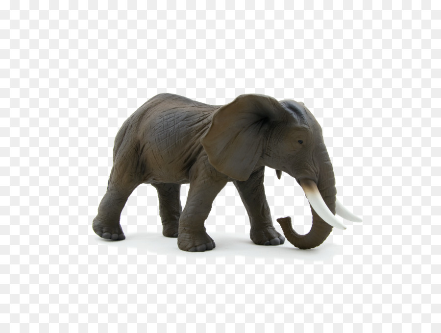 الفيل الأفريقي بوش，الجمل العربي PNG