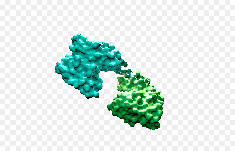 Bispecific Tcell Engager，الأدوية الصيدلانية PNG