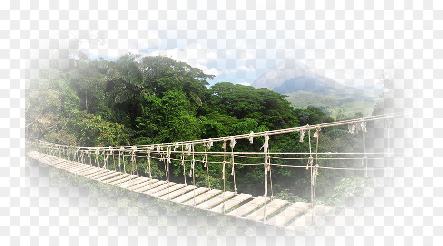Monteverde，السفر PNG