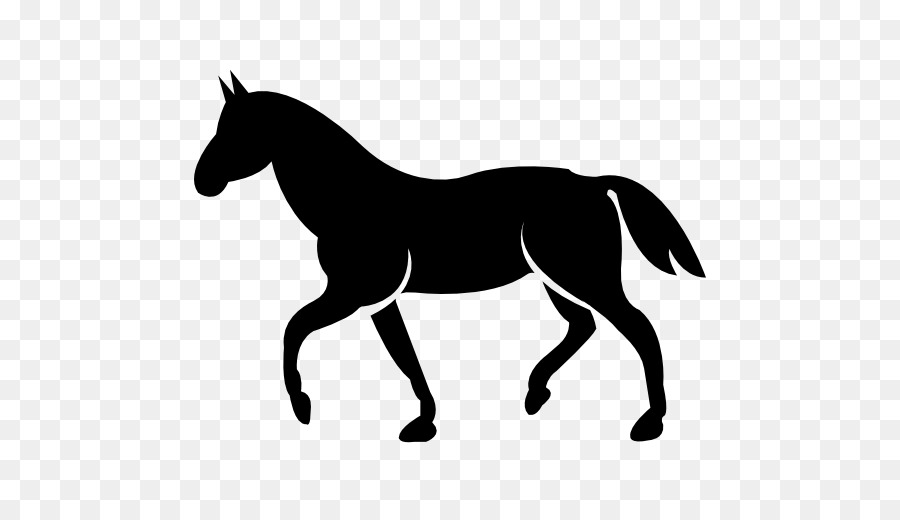 Standardbred，القط الأسود Stitchery PNG