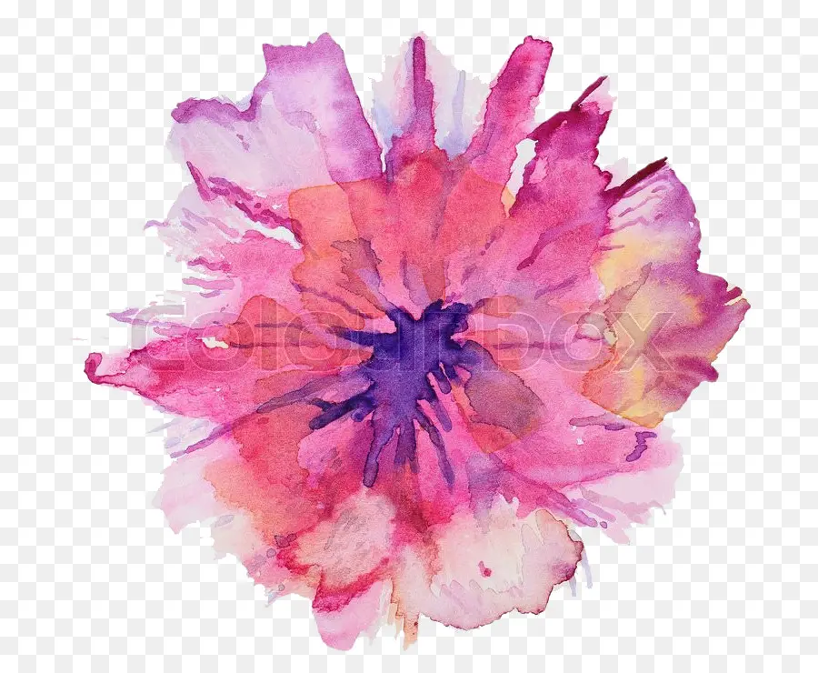 الزهور المائية，لوحة ألوان مائية PNG