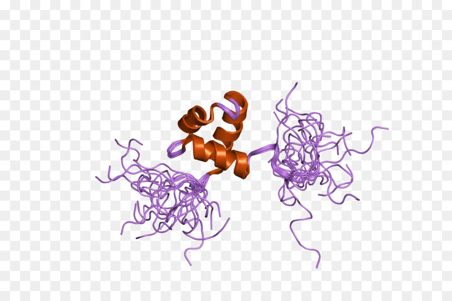 البروتين，Schizosaccharomyces Pombe PNG