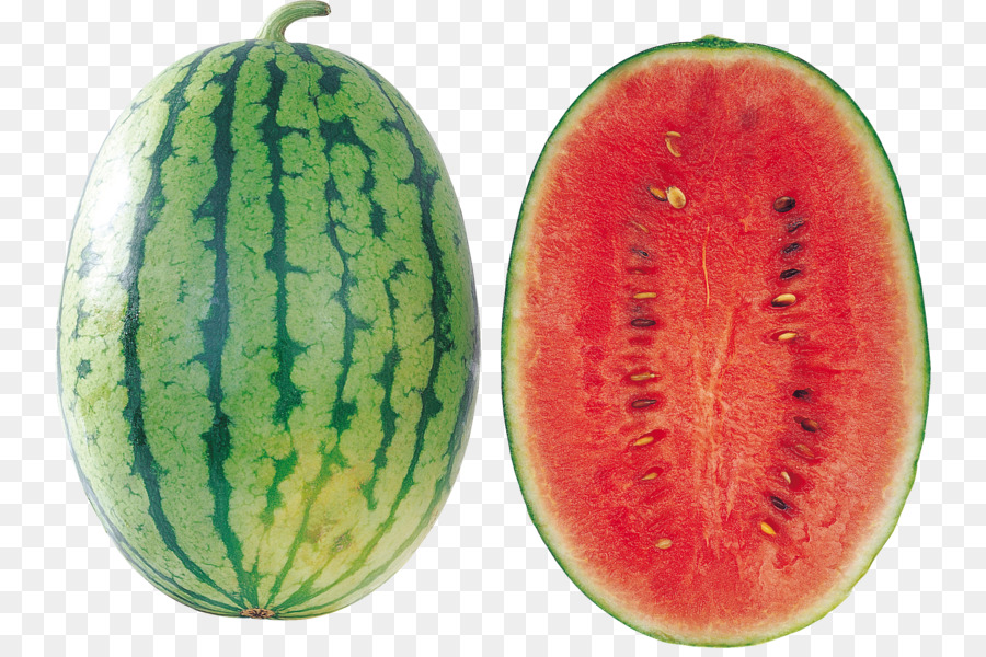 زيت بذور البطيخ，الحنظل Lanatus فار Lanatus PNG