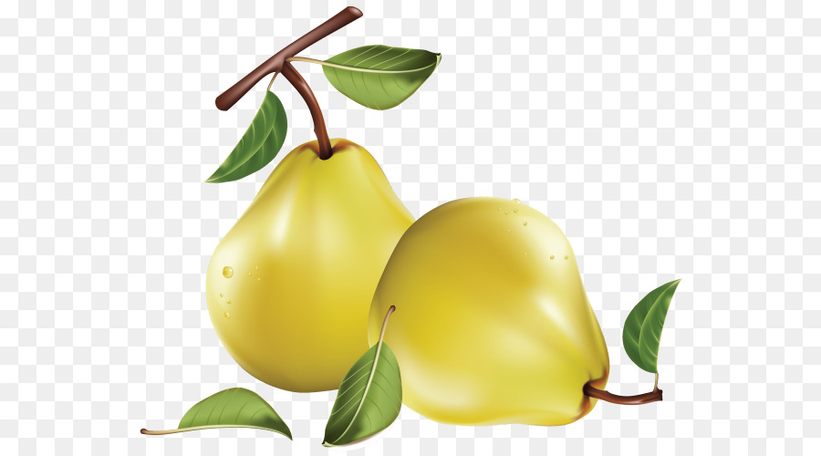 الفاكهة，سلطة الفواكه PNG