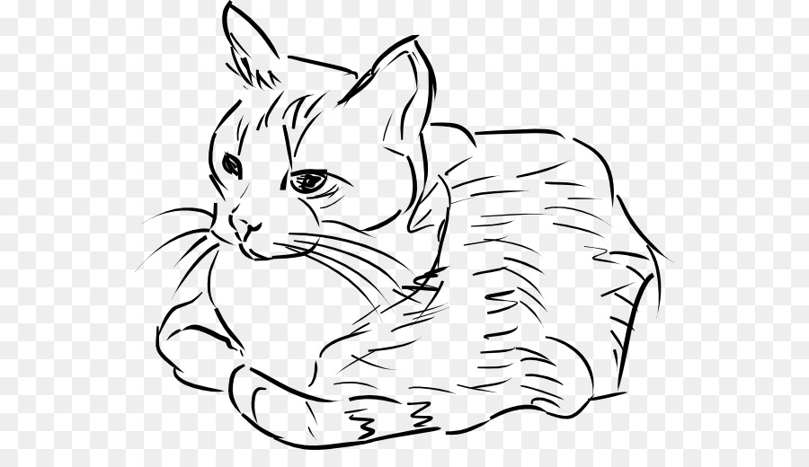 قطة，رسم PNG