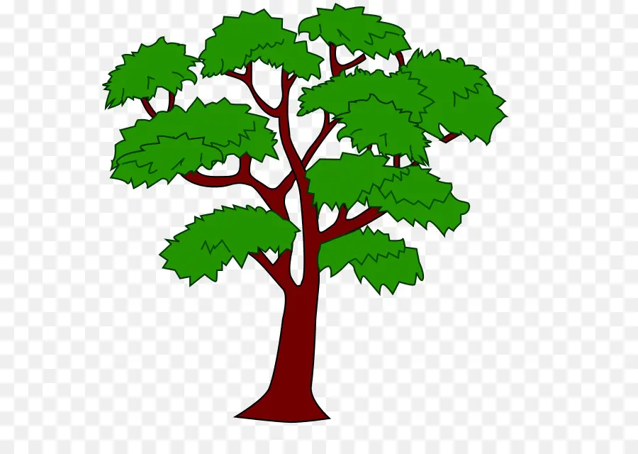 الماهوغوني，ارسم الأشجار PNG