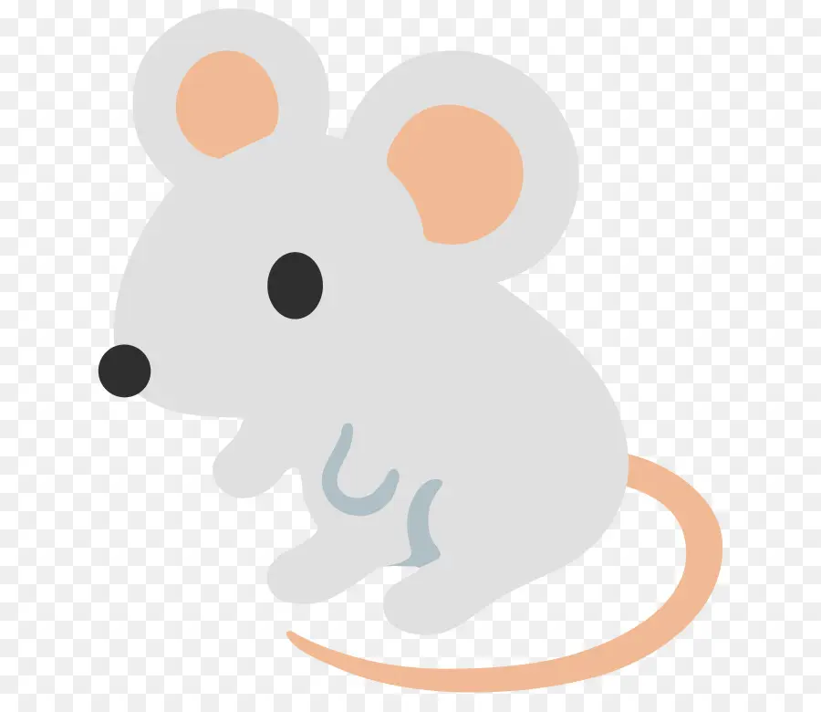 الفأر，فأرة الحاسوب PNG