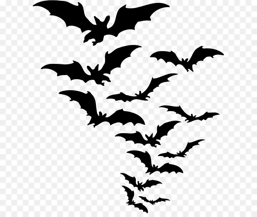 الخفافيش，ملصقا PNG