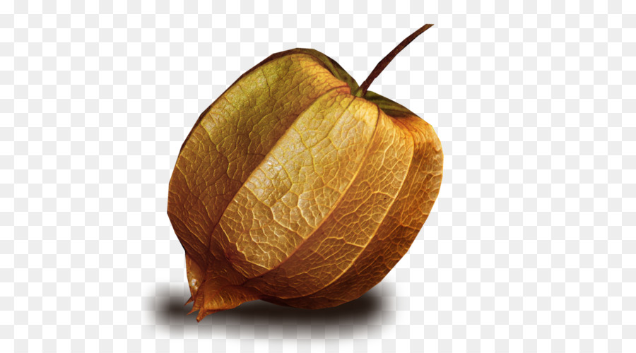 فانوس，بيرو Groundcherry PNG