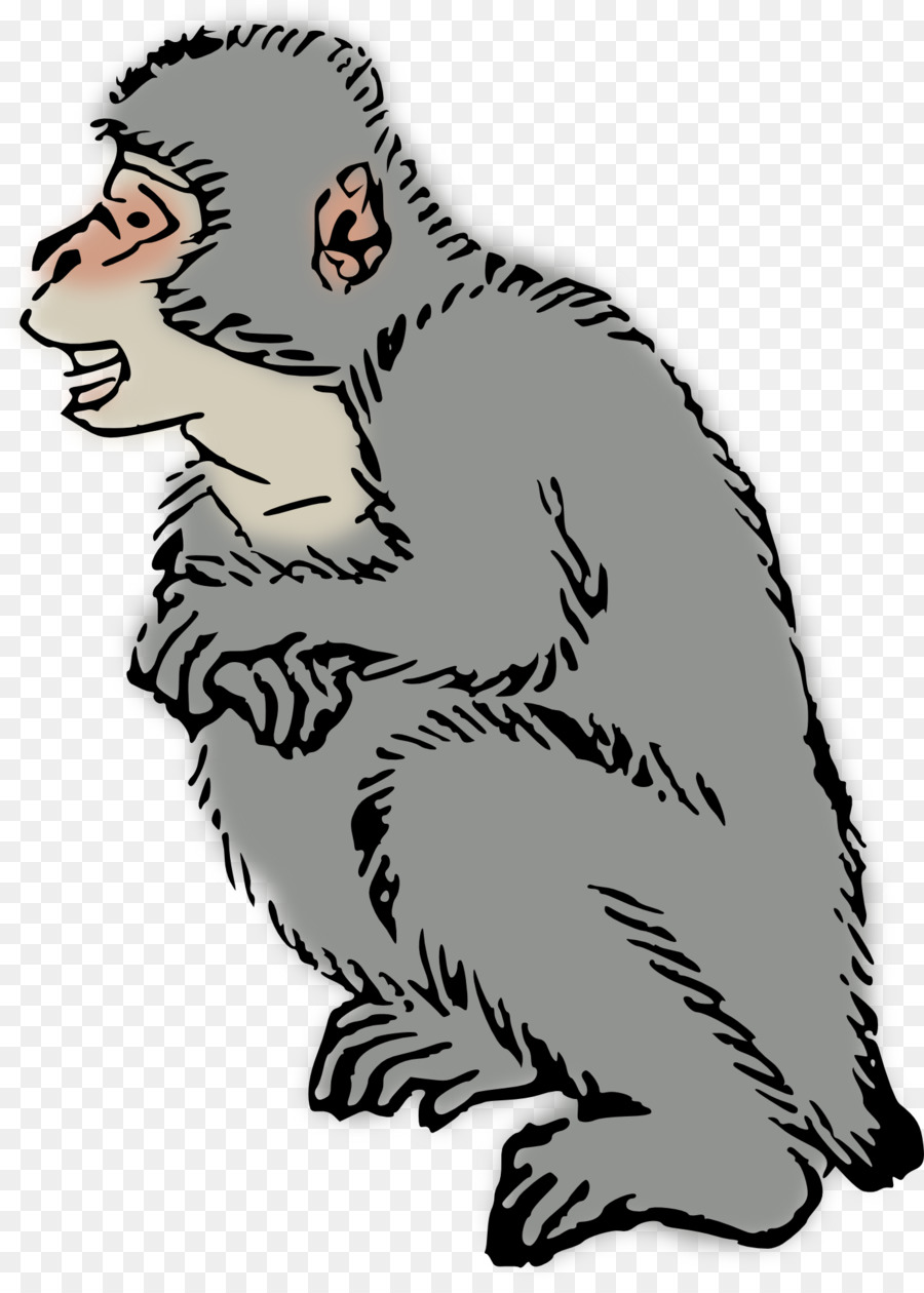 القرد，المكاك الياباني PNG