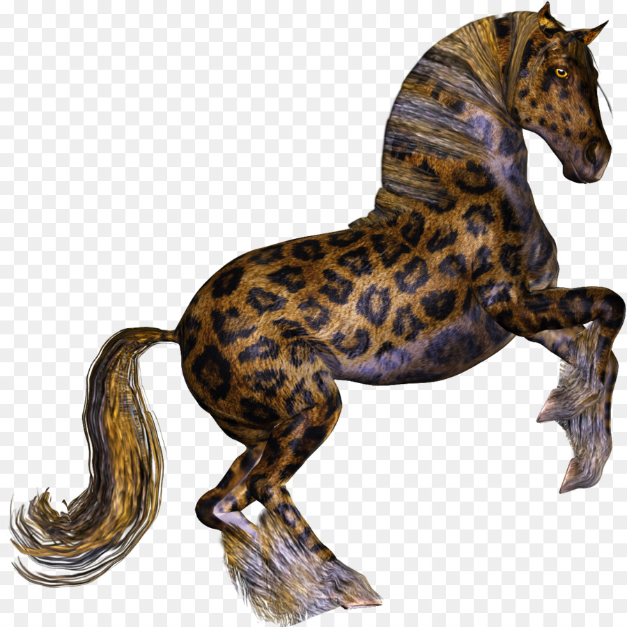 ليوبارد，Appaloosa PNG