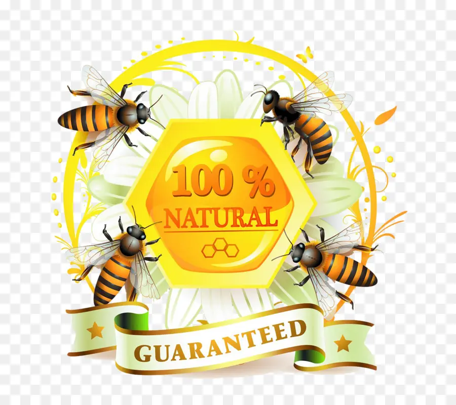نحلة，عسل النحل PNG