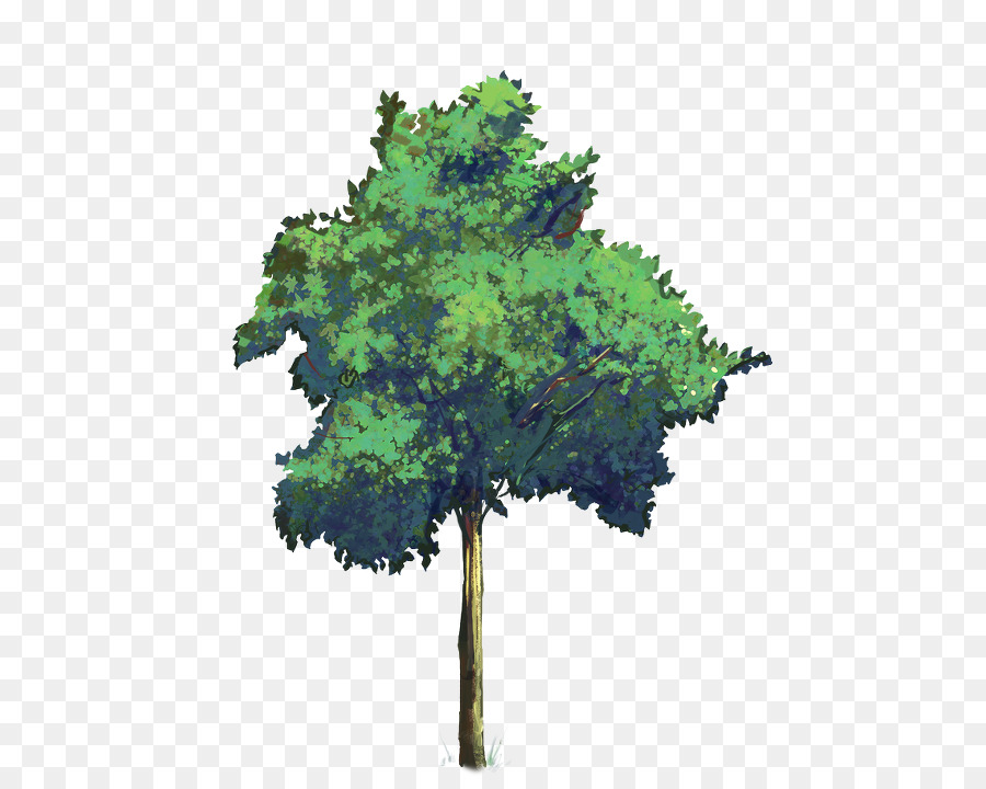 هيكل شجرة，شجرة PNG