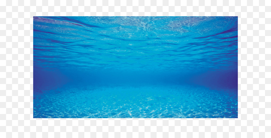 حوض سمك，Aquascaping PNG