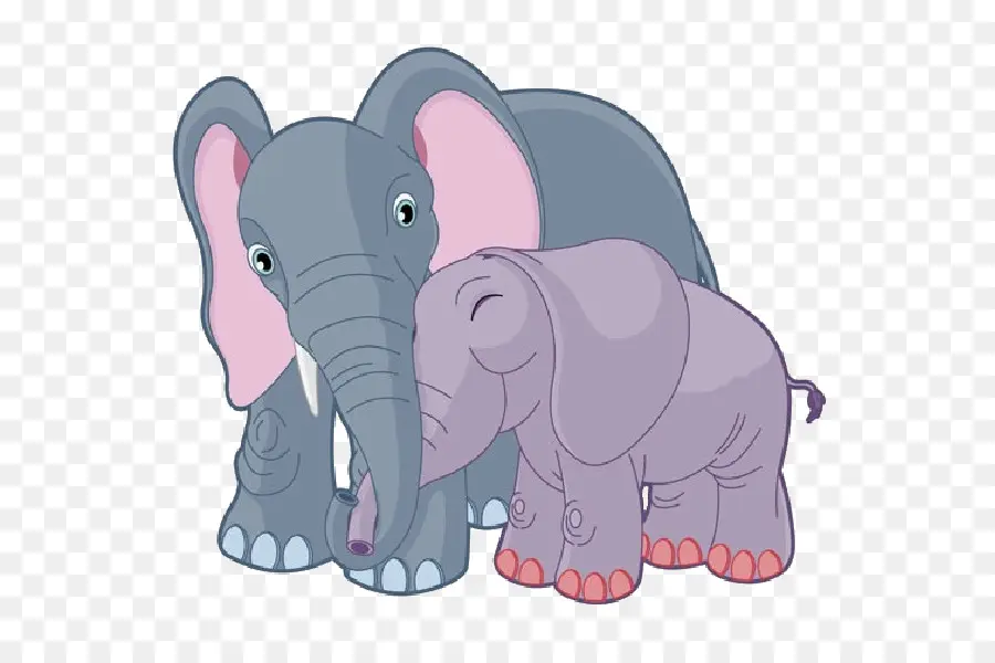 الفيل，الطفل PNG
