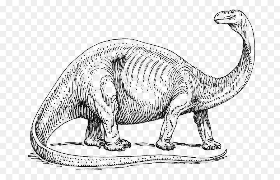 الديناصور，أباتوصور PNG