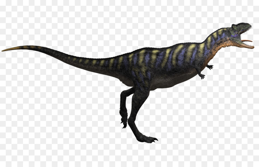 الديناصور，Aucasaurus PNG
