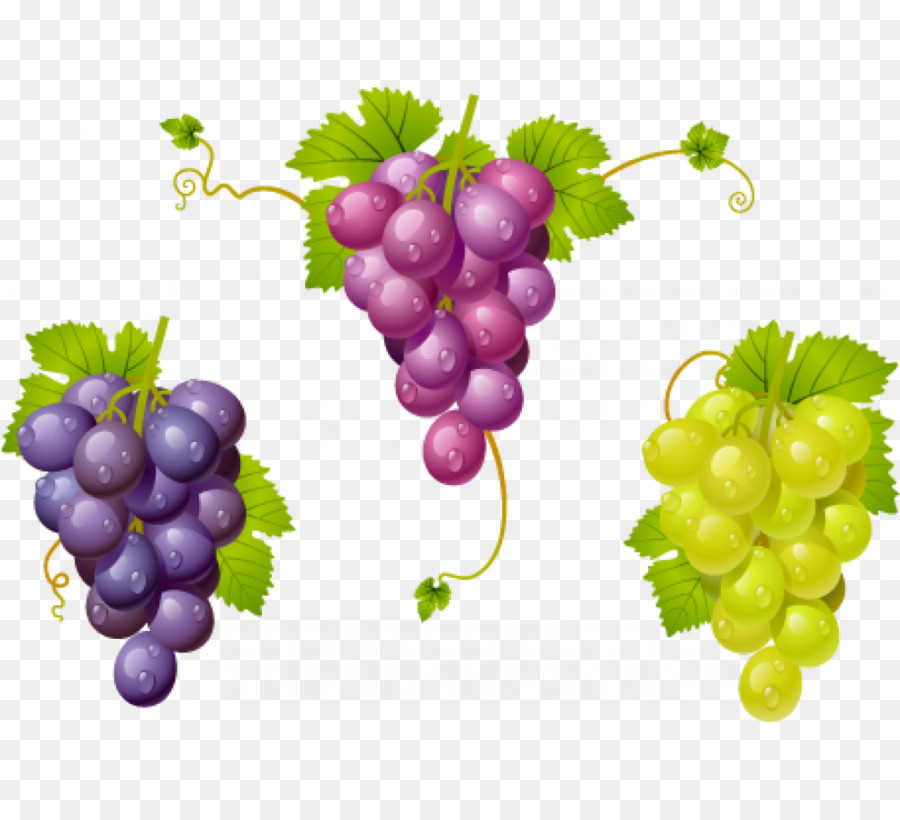 العنب，النبيذ PNG