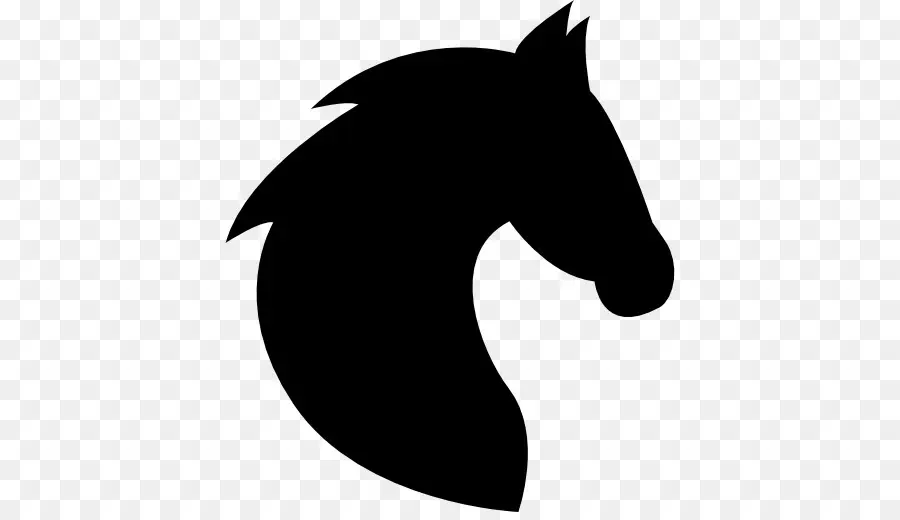 الحصان，الأسود PNG