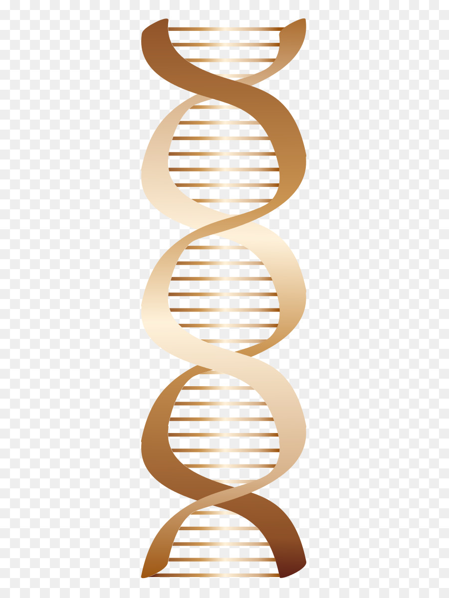 الحمض النووي，الأحماض النووية PNG