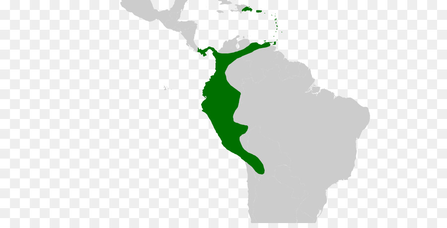 أمريكا اللاتينية，أمريكا الجنوبية PNG