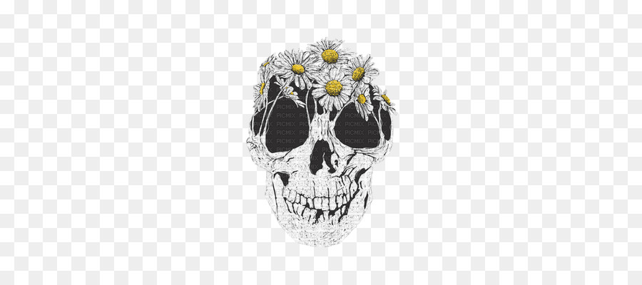 الجمجمة，Calavera PNG