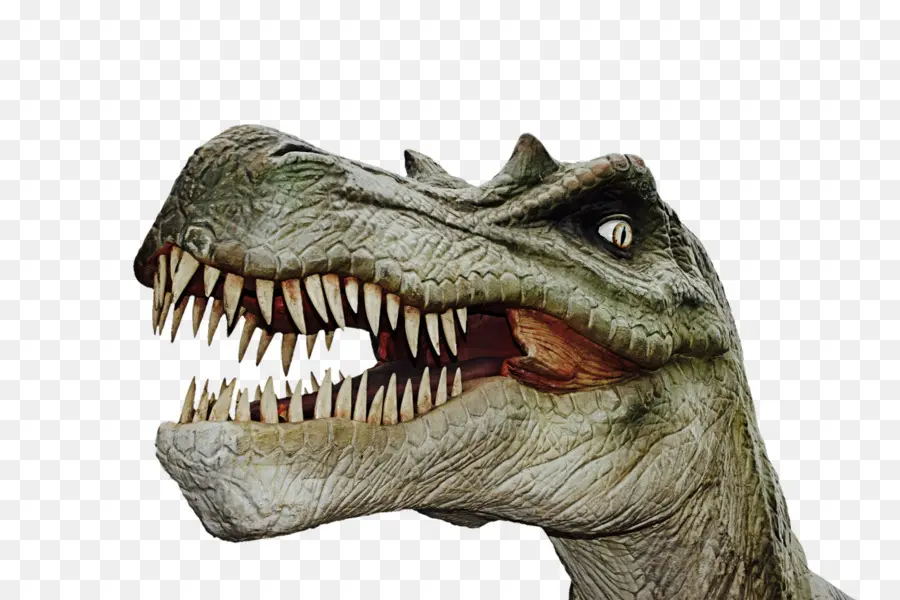 الديناصور，الديناصورات خطيرة PNG