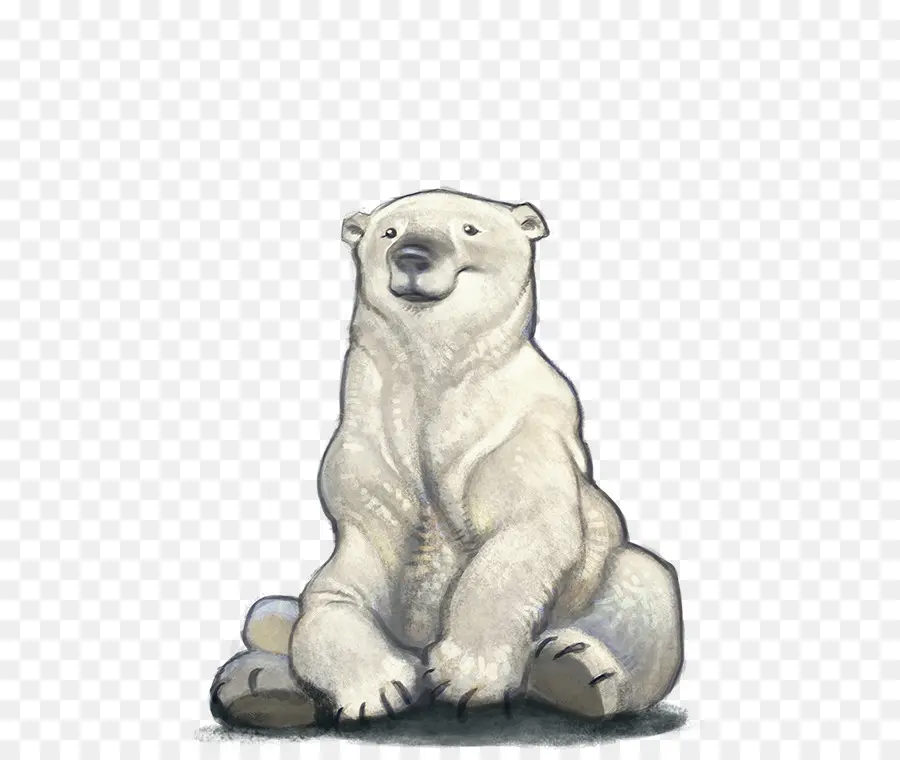 الدب القطبي，سر حديقة الحيوان PNG