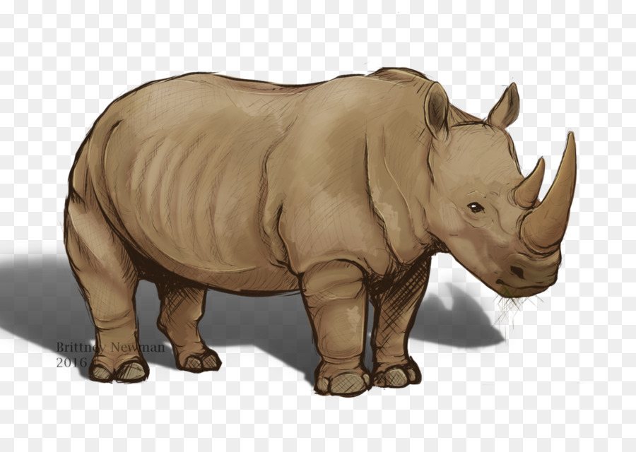 وحيد القرن，الحيوانات الأرضية PNG