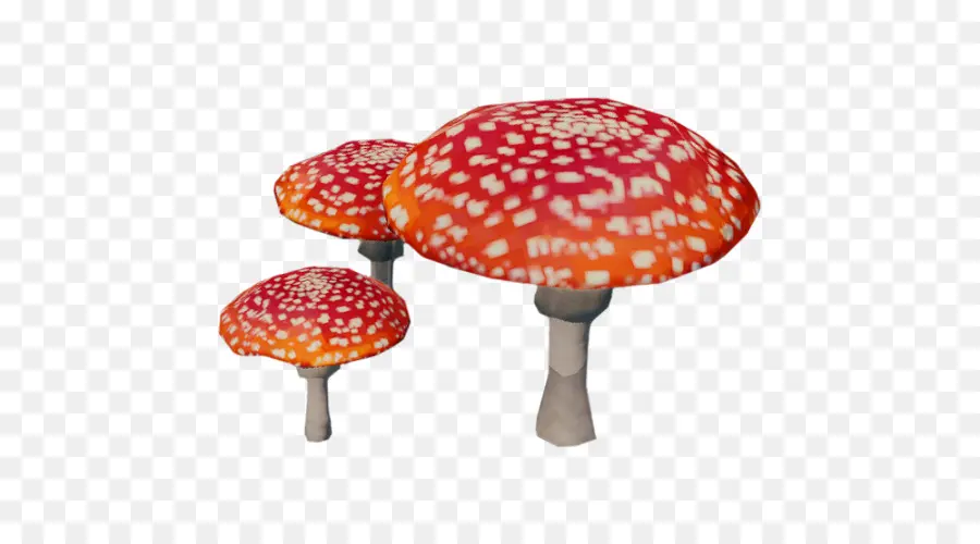 الأمانيت Muscaria，الفطر PNG