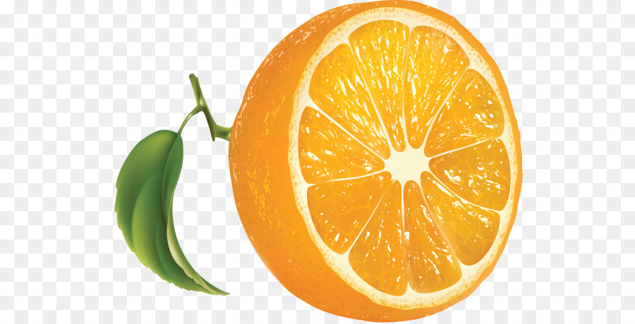 البرتقال，الحمضيات PNG