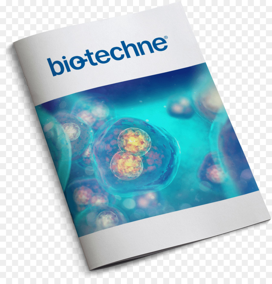 الشركة，Biotechne PNG