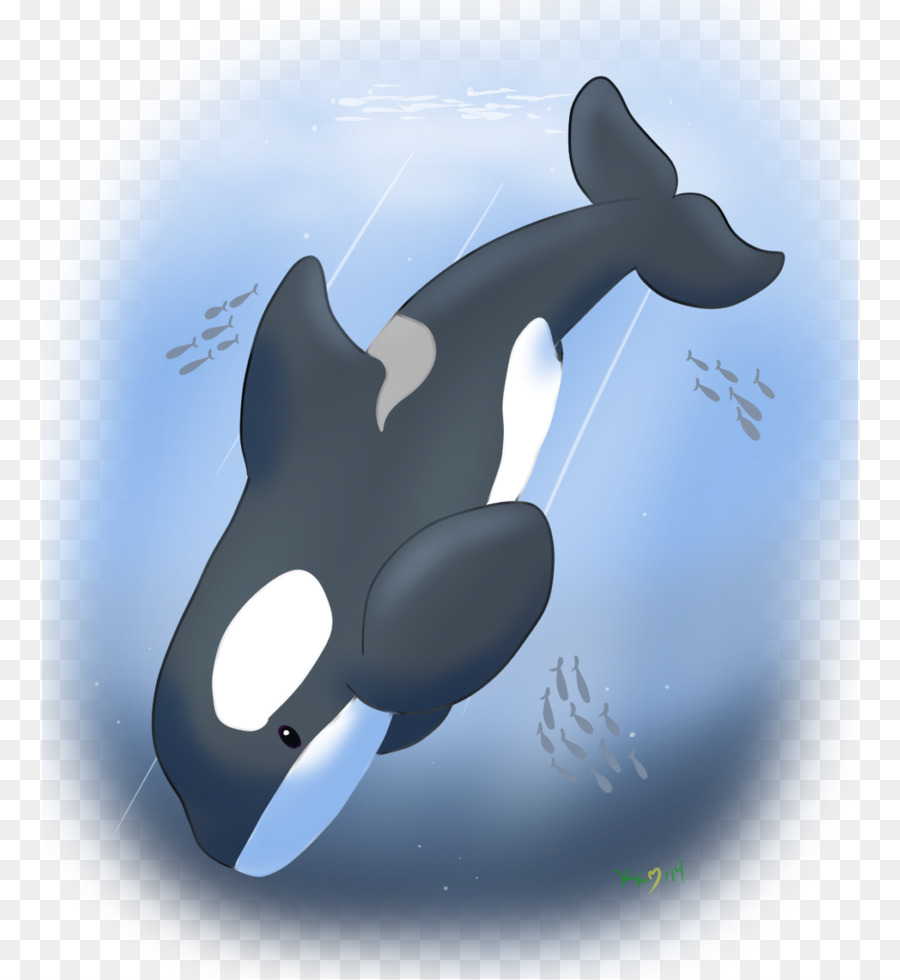 دولفين，الحوت القاتل PNG