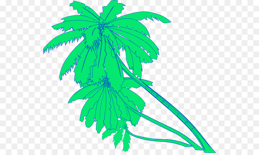 Arecaceae， PNG