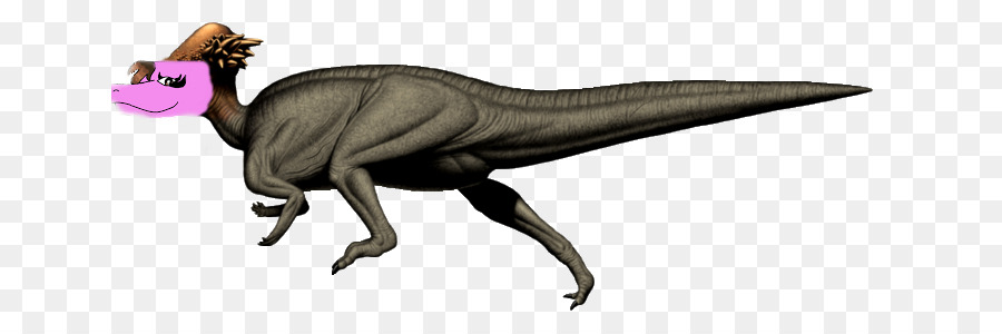 فيلوسيرابتور，Pachycephalosaurus PNG
