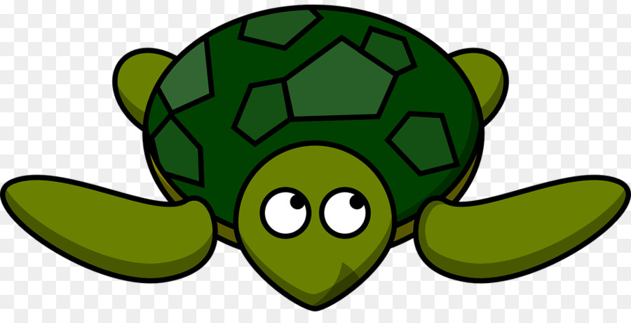 السلاحف，السلاحف البحرية PNG