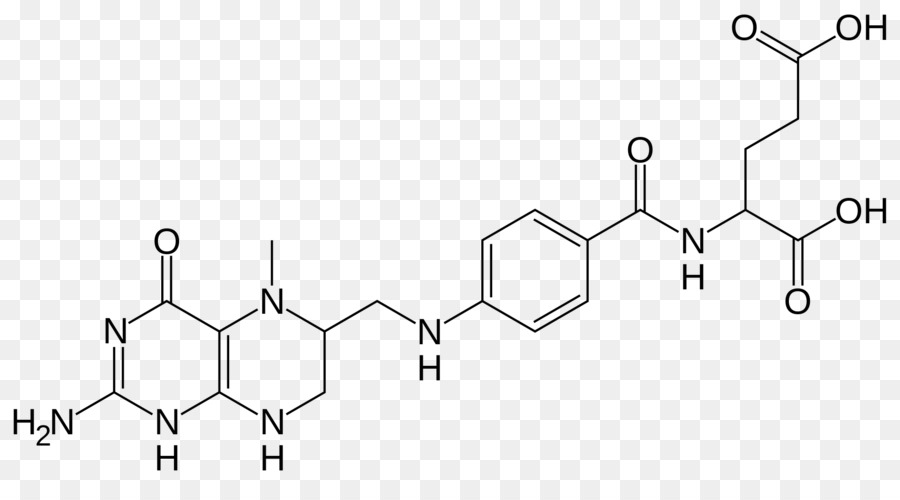 حمض Tetrahydrofolic，10formyltetrahydrofolate PNG