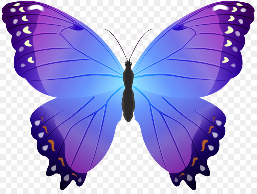 شخصيتك من خلال اللون Kisspng-butterfly-color-clip-art-5b01307fa67a02.1166322115268046076819