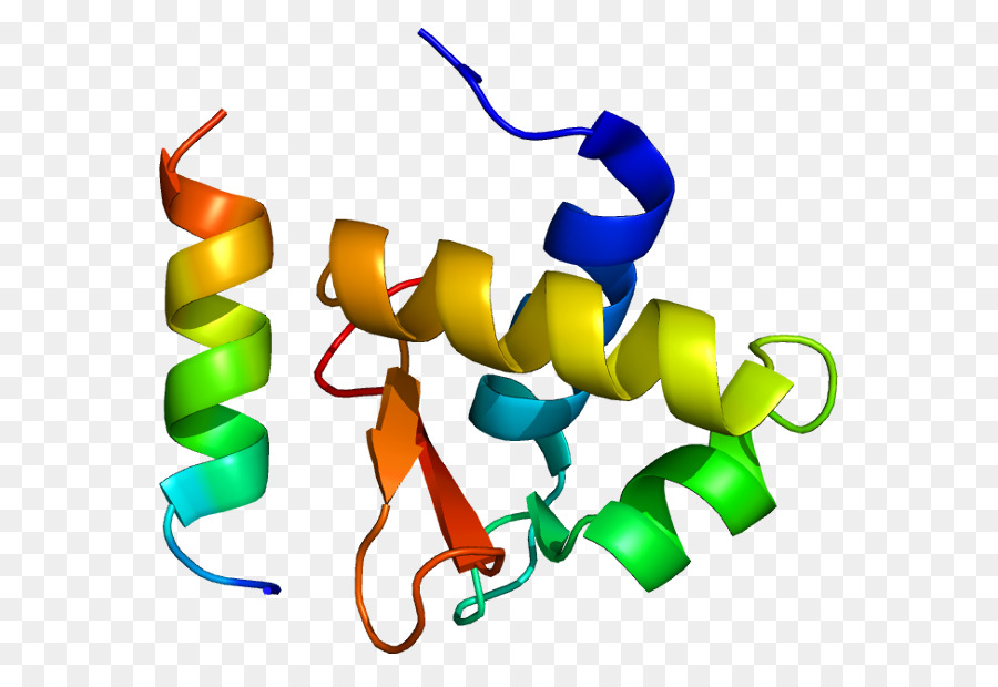 النسخ المتماثل البروتين，النسخ المتماثل البروتين A2 PNG