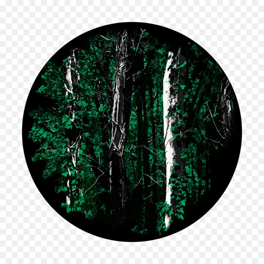 الغابات，الزجاج PNG