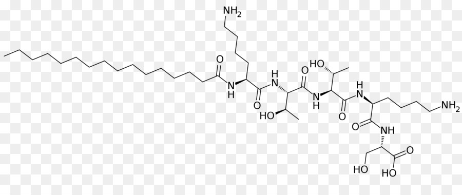 Palmitoyl Pentapeptide4，الأسود و الأبيض PNG