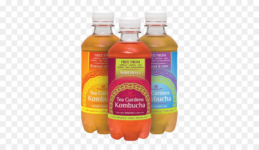 Kombucha，حدائق الشاي Kombucha PNG