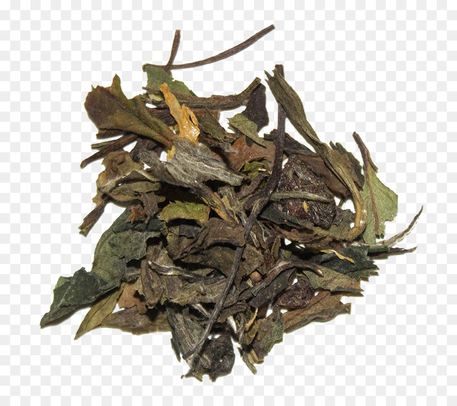 باي مودان，Nilgiri الشاي PNG