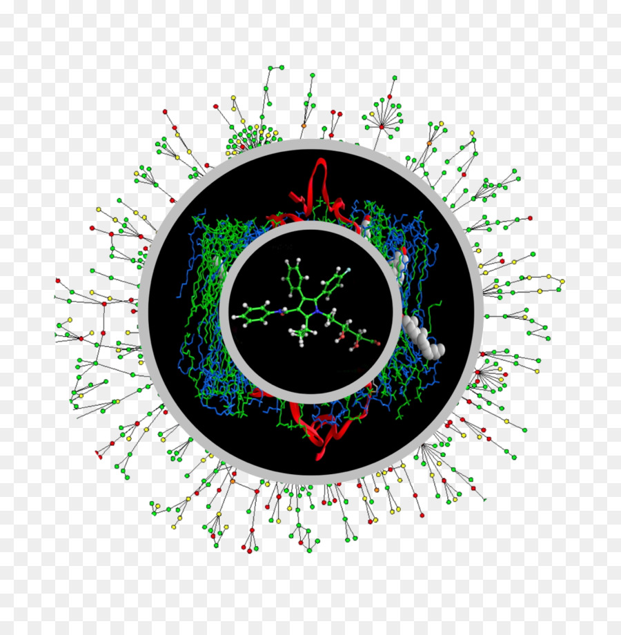 علم الأحياء，Proteinprotein التفاعل PNG