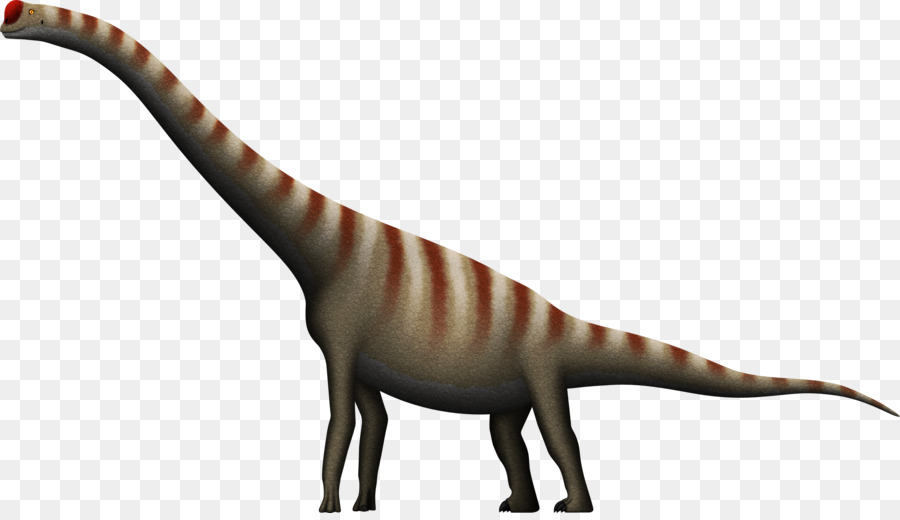 فيلوسيرابتور，Brachiosaurus PNG